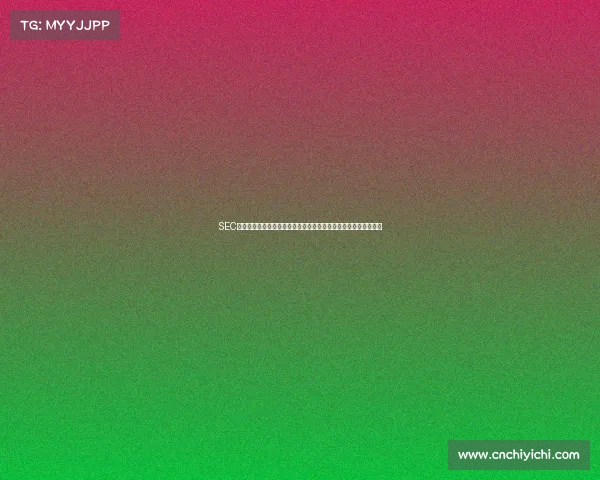 SEC赛事:深入金融世界挑战证券交易竞赛提升投资智慧共创辉煌未来 SEC赛事:深入金融世界挑战证券交易竞赛提升投资智慧共创辉煌未来