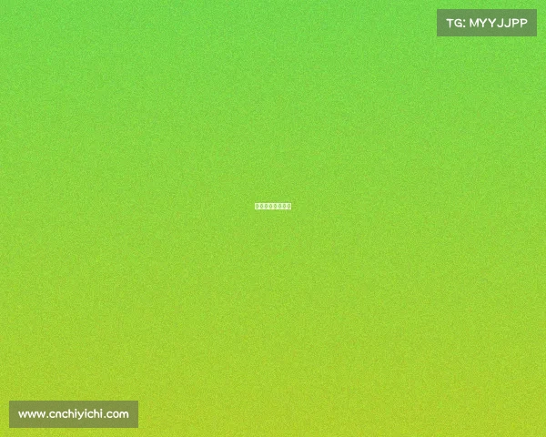 科比绝杀热火全场