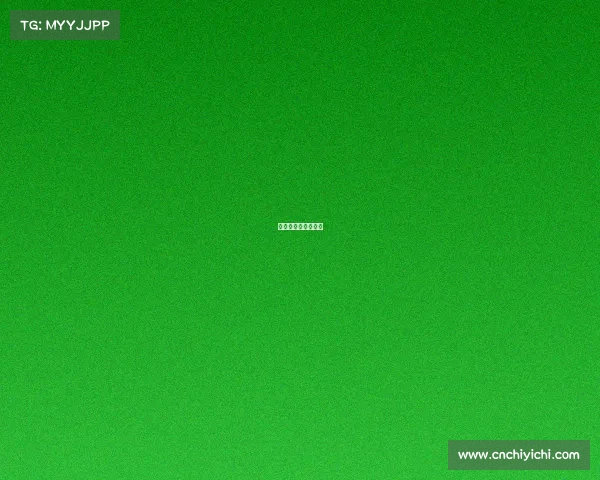 舒马赫经典比赛视频